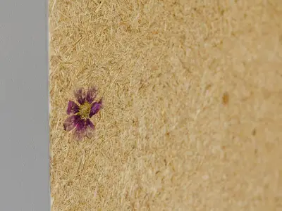 Ferienhaus für 6 Personen (110 m²) in Schmallenberg 6/10