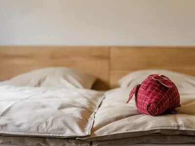 Ferienhaus für 6 Personen (110 m²) in Schmallenberg 10/10