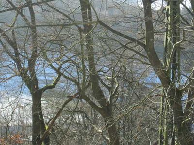 Ferienhaus für 20 Personen (200 m²) in Schmallenberg 7/10