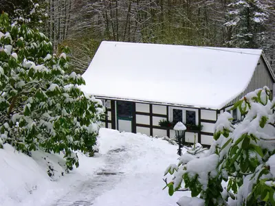 ExteriorWinter