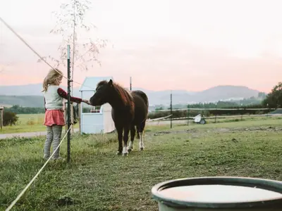 Birkenhof, Besuch bei den Ponys