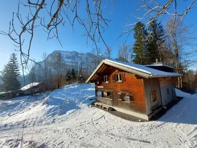 Ferienhaus für 22 Personen (140 m²) in Schnepfau 2/10