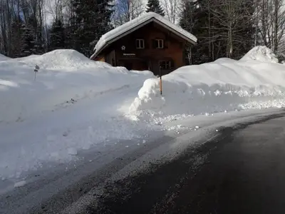 Ferienhaus für 22 Personen (140 m²) in Schnepfau 3/10