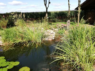 Teich vor dem Haus