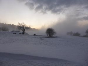 23195769-Ferienhaus-5-Schöfweg-300x225-4