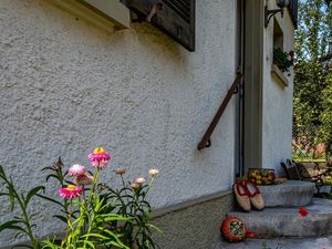 23165673-Ferienhaus-4-Schönau im Schwarzwald-300x225-3