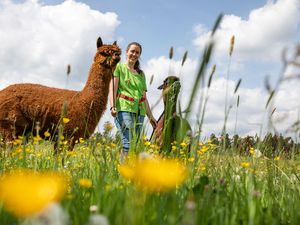 Ferienhaus für 4 Personen in Schönbach (Rheinland-Pfalz)