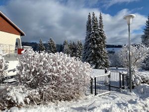 22480103-Ferienhaus-8-Schönwald im Schwarzwald-300x225-5