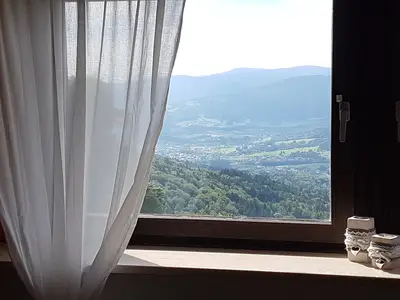 ViewSummer