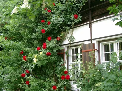 Ferienhaus für 10 Personen (430 m²) in Schönau am Königssee 8/10