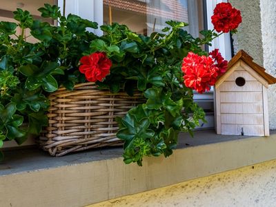 Ferienhaus für 4 Personen (75 m²) in Schönau im Schwarzwald 2/10