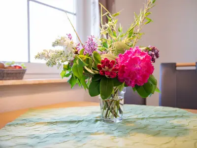 hubertushof-ferienhauser-eifel_5946