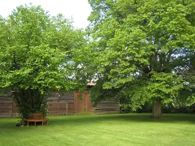 Ferienhaus für 7 Personen (140 m²) in Schönbeck 9/10