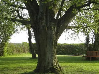 Ferienhaus für 7 Personen (140 m²) in Schönbeck 6/10