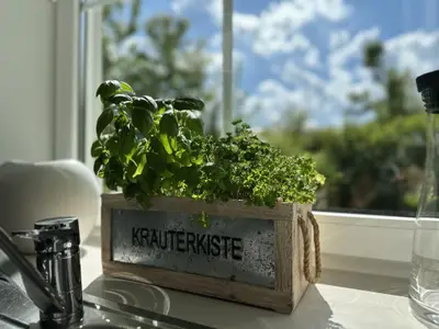 Ambiente / Nahaufnahme