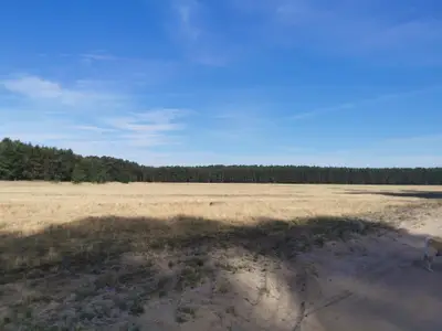 Ferienhaus für 4 Personen (30 m²) in Schönwalde-Glien 8/10