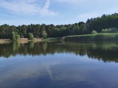 Ferienhaus für 4 Personen (30 m²) in Schönwalde-Glien 9/10