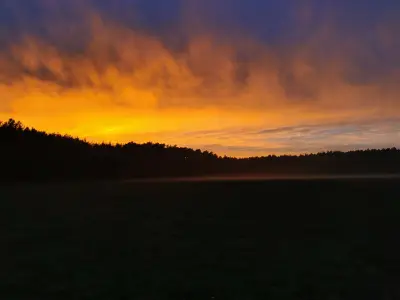 Ferienhaus für 4 Personen (30 m²) in Schönwalde-Glien 10/10