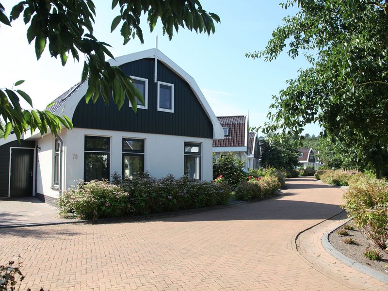 22195843-Ferienhaus-6-Schoorl-800x600-1