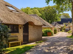 Ferienhaus für 5 Personen (72 m²) in Schoorl