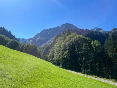Ferienhaus für 6 Personen in Schoppernau 4/10