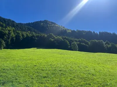 Ferienhaus für 6 Personen in Schoppernau 5/10