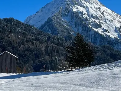 Ferienhaus für 8 Personen (123 m²) in Schoppernau 3/10