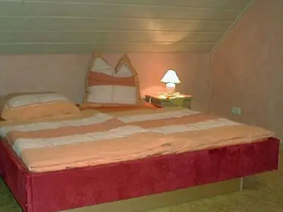 Ferienhaus für 4 Personen (80 m²) in Schotten 8/8