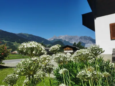 Haus Buachwald Garten