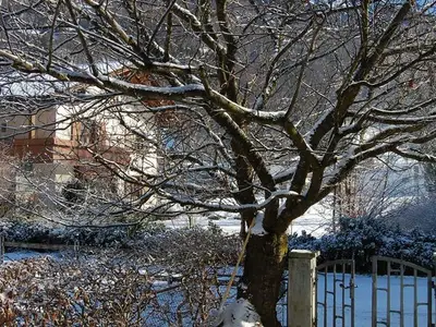 Ferienhaus für 11 Personen (180 m²) in Schruns 3/10