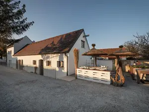 Ferienhaus für 3 Personen (93 m²) in Schützen am Gebirge
