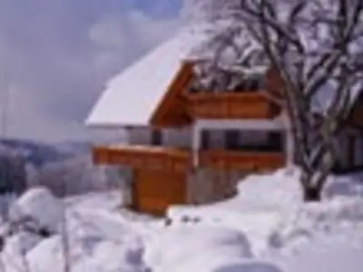 Ferienhaus für 5 Personen (82 m²) in Schuttertal 8/10