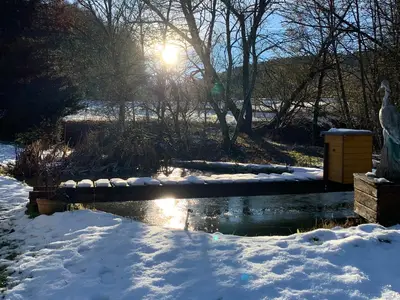 Teich Schnee Sonne