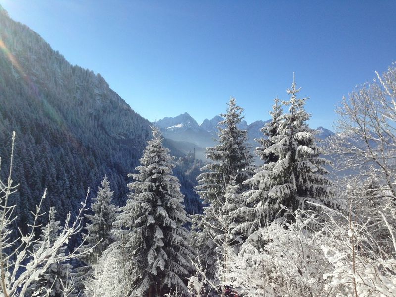 22181365-Ferienhaus-2-Schwangau-800x600-2