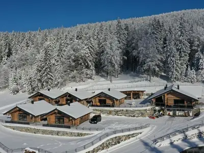 Ferienhaus für 3 Personen (55 m²) in Schwarzenberg am Böhmerwald 5/10