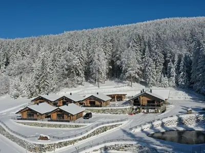 Ferienhaus für 3 Personen (55 m²) in Schwarzenberg am Böhmerwald 1/10
