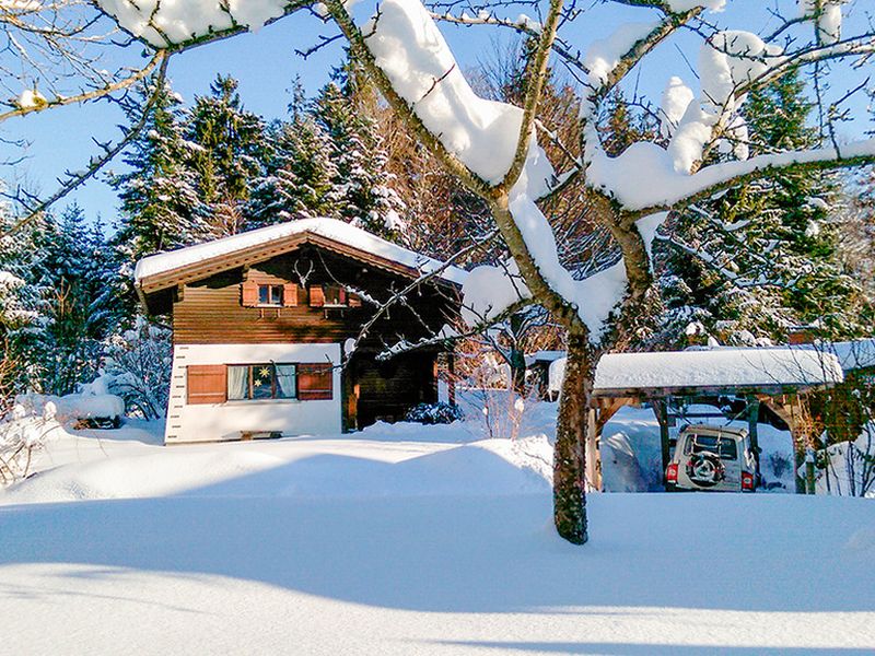 24020119-Ferienhaus-5-Schwarzenberg (Bregenzerwald)-800x600-0