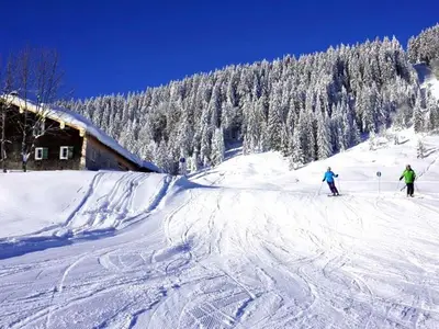 Ferienhaus für 5 Personen (50 m²) in Schwarzenberg (Bregenzerwald) 4/10
