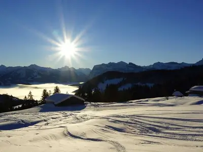 Ferienhaus für 5 Personen (50 m²) in Schwarzenberg (Bregenzerwald) 7/10
