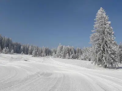 Ferienhaus für 5 Personen (50 m²) in Schwarzenberg (Bregenzerwald) 8/10