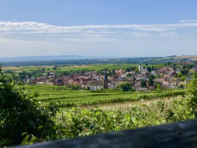 Blick über Schweigen-Rechtenbach