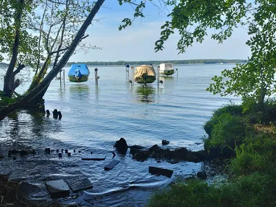 Ferienhaus für 2 Personen (45 m²) in Schwielochsee 1/7