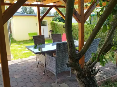 Ferienhaus für 2 Personen (45 m²) in Schwielochsee 6/7