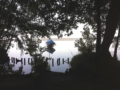Ferienhaus für 4 Personen (50 m²) in Schwielochsee 1/10