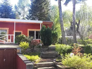 Ferienhaus für 4 Personen (43 m²) in Schwielowsee