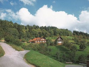 23357059-Ferienhaus-4-Seebach (Ortenaukreis)-300x225-1