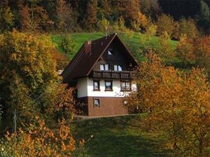 23357060-Ferienhaus-4-Seebach (Ortenaukreis)-300x225-2