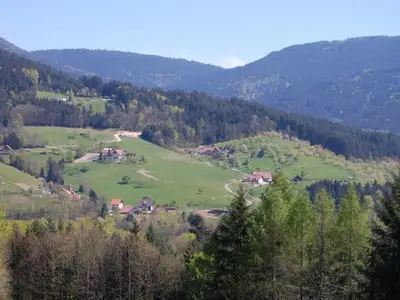 Grimmerswäldertal