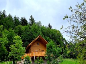 Ferienhaus für 4 Personen in Seebach (Ortenaukreis)