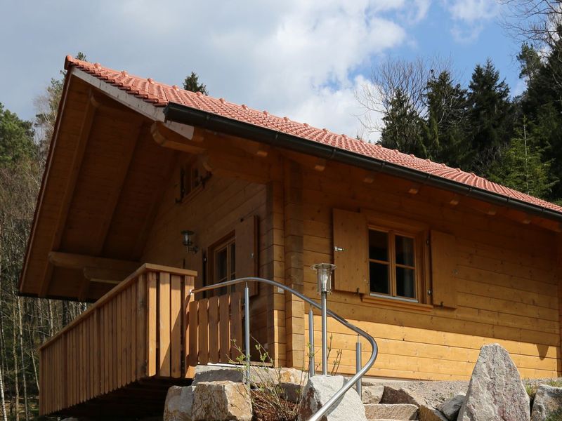 23357059-Ferienhaus-4-Seebach (Ortenaukreis)-800x600-1